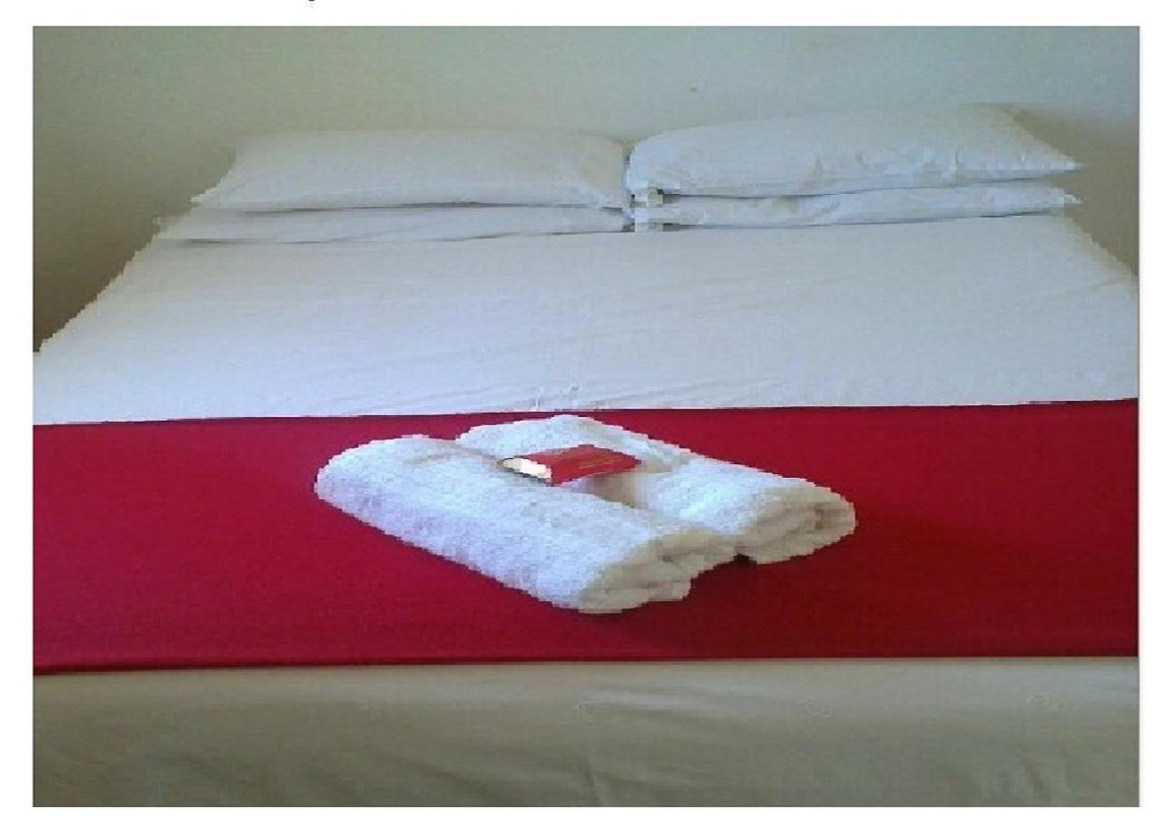Tshulu Tsha Nabe B&B Bulawayo Luaran gambar